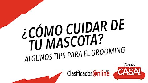 Consejos para cuidar a tu mascota - ClasificadosOnline.com