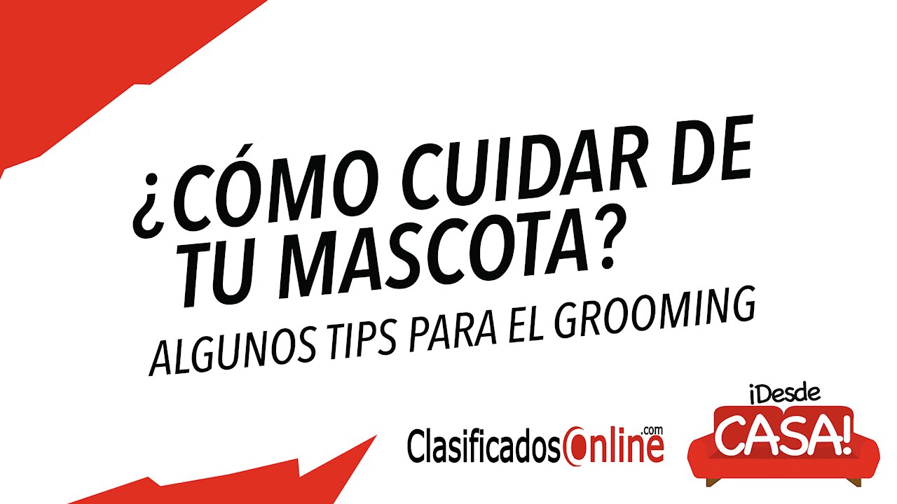 Consejos para cuidar a tu mascota - ClasificadosOnline.com