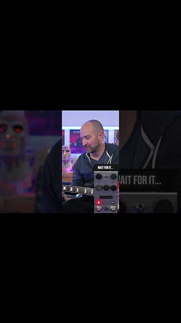 VS Audio Platinum Pedal (Silver Jubilee in a Box!) #shortsvideo #guitarsdaily