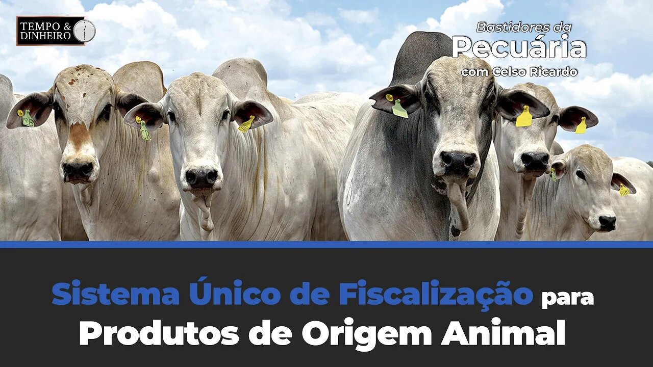 Sistema Único de Fiscalização para Produtos de Origem Animal. Veja como funciona