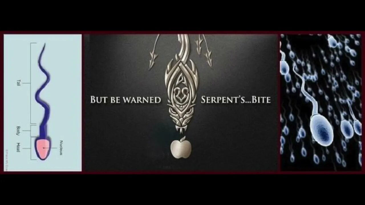 LOOK! At the SkinSin We're In!!! - Jonathan Kleck