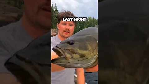 Football Sized Smallmouth Bass