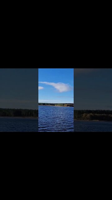 Stand Tall, Be Brave, Be Bold!