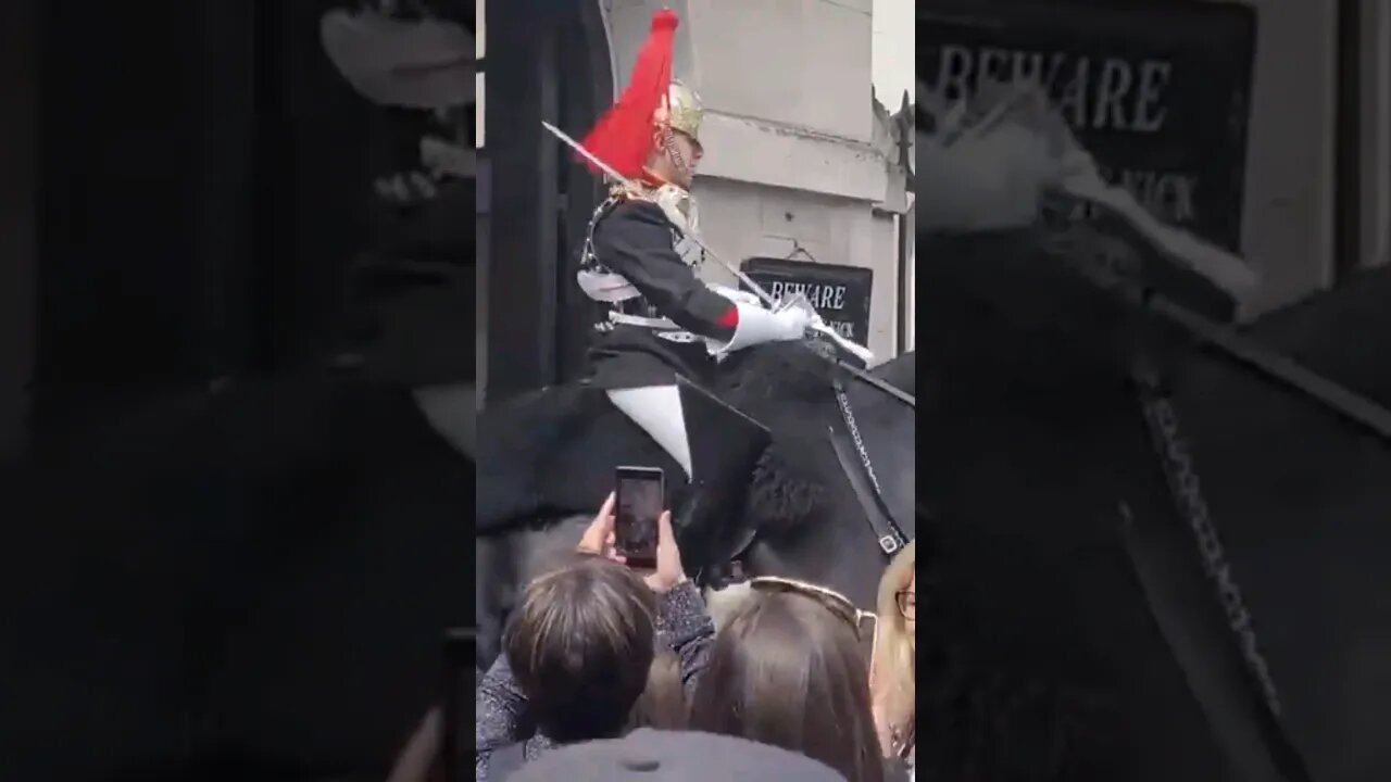 Horse decides to leave Horse Guards #horseguardsparade