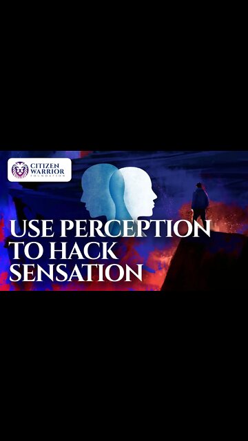 The Hero's Journey | Perception Hack For Goal Achievement (Jordan Peterson Motivation)