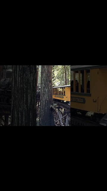 Roaring Camp Railroad Redwood Forest Steam Train near Santa Cruz Beach 4K HDR #steamtrains