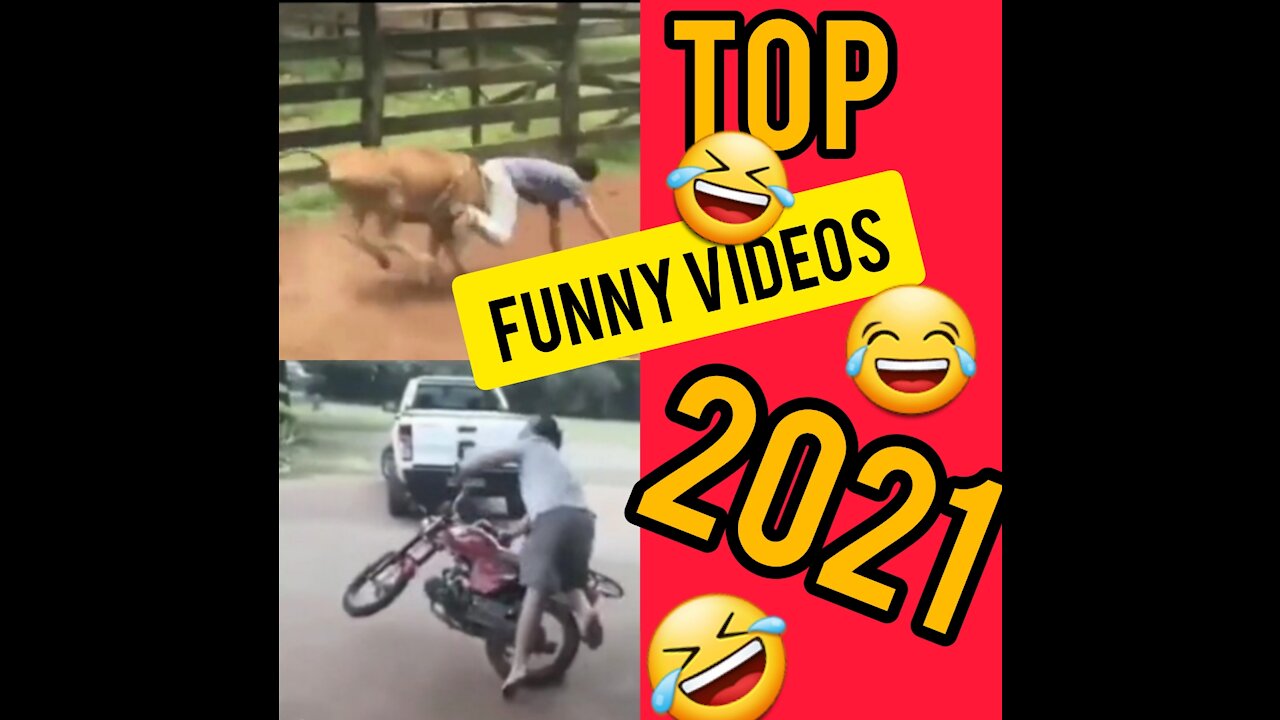 The funniest videos #2021