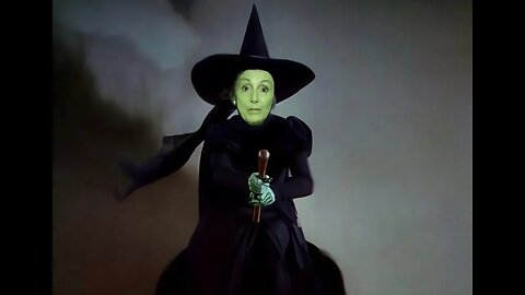 The Democrats of OZ