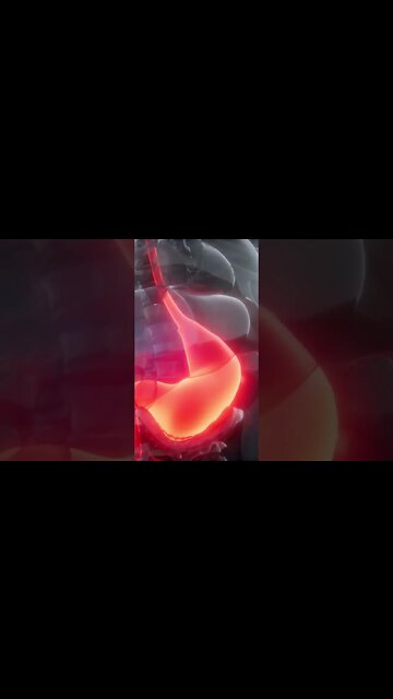 Top 5 Five Immune Boosting Herbs For Health & Vitality S3#teachitchat #tea #teaicinal