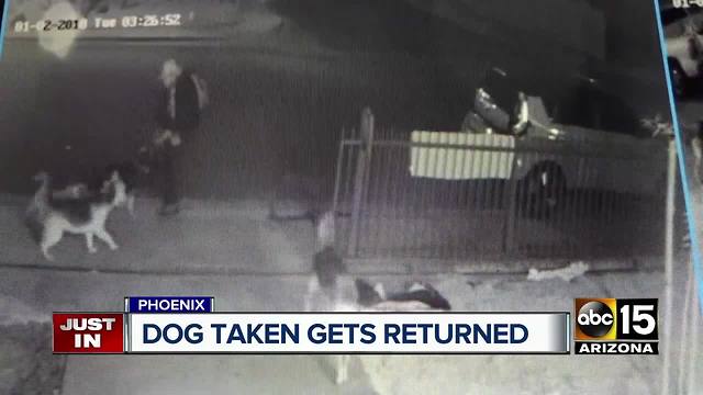 Dog taken on camera in Phoenix returned home