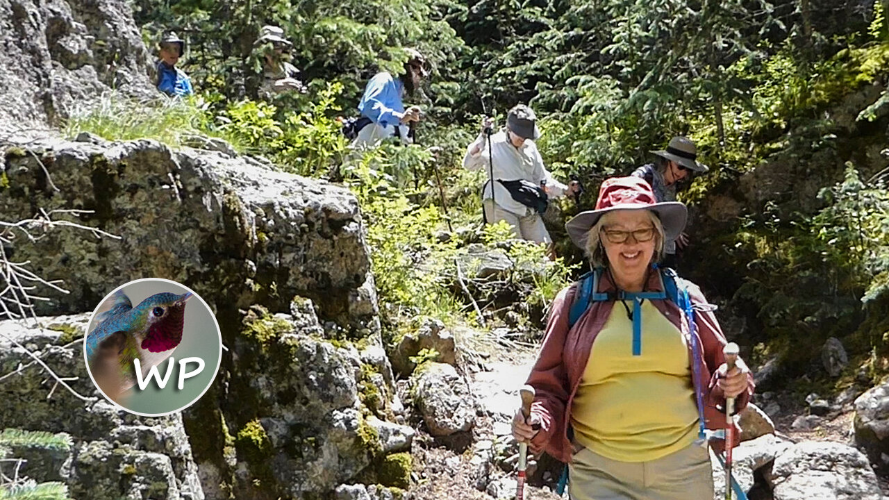 Three Mile Creek | Guanella Pass | Colorado Trails