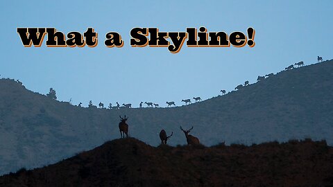 Elk Skyline