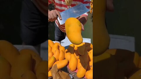 Love vacation #vacation #travelman #travel #beauty #subscribe #love #luxury