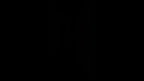 How to pronounce Biden gaffe