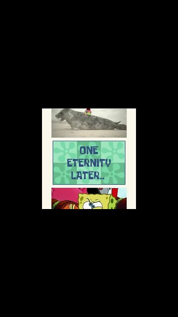 desenho bob sponja #shorts