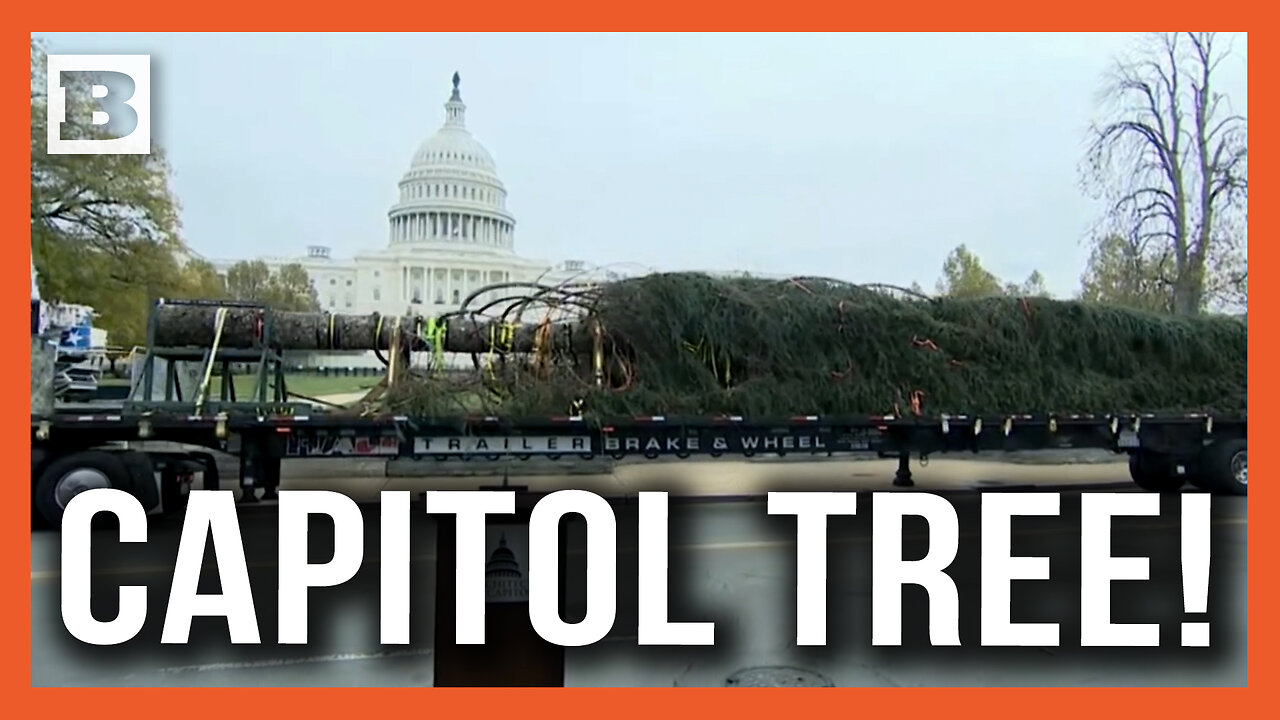 A Capitol Christmas! U.S. Capitol Christmas Tree "Spruce Wayne" Arrives in D.C.
