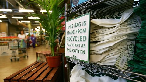 Plastic: America's Indispensable Cultural Icon