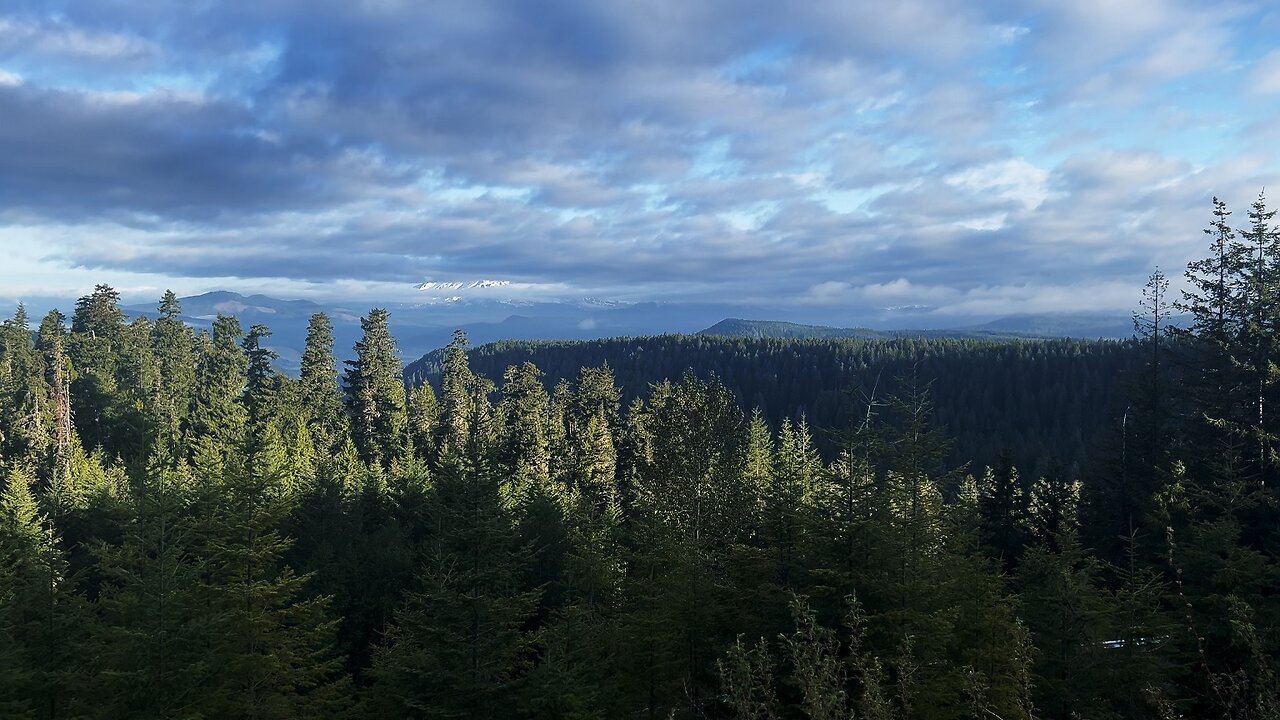 McClellan Viewpoint @ Gray Sky Sunrise & Reading Information Signs! | Gifford Pinchot Washington 4K