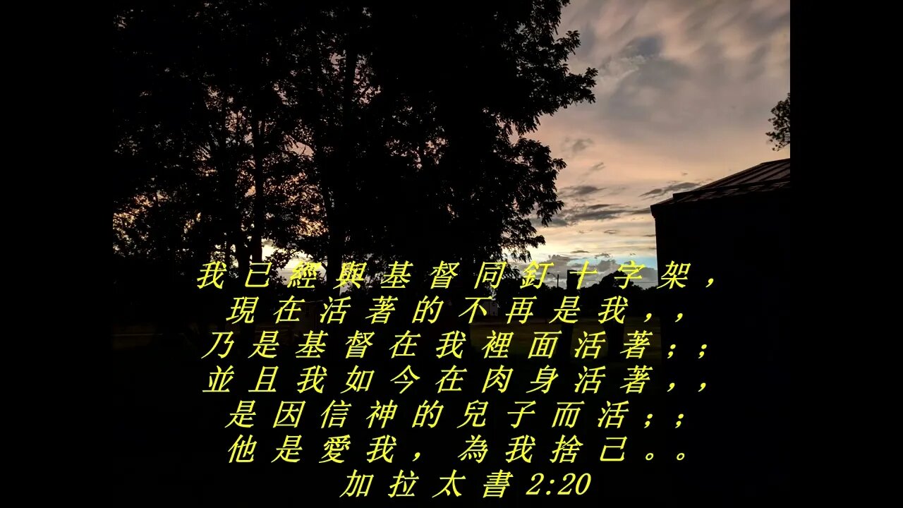 今天的每日聖經經文Jīntiān de měi rì shèngjīng jīng wén