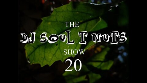 Deep House Music - The Soul T Nuts show - Episode 20