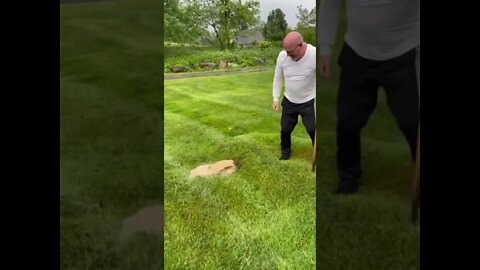 best caption gets pinned