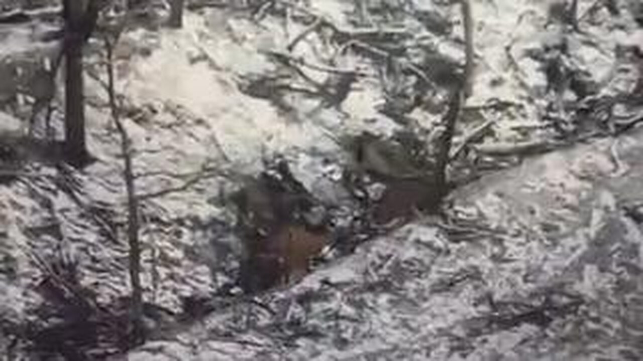 Russian soldier tries to finish off unexploded Ukrainian FPV kamikaze drone with a shovel.