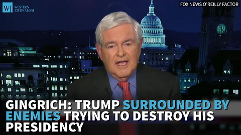 Gingrich: Trump Surrounded By Enemies Trying To Destroy His Presidency