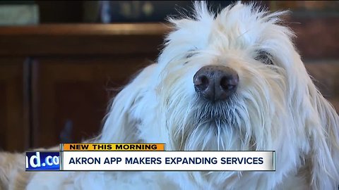 Akron app makers expanding services
