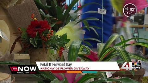 Florists giving away bouquets across the country