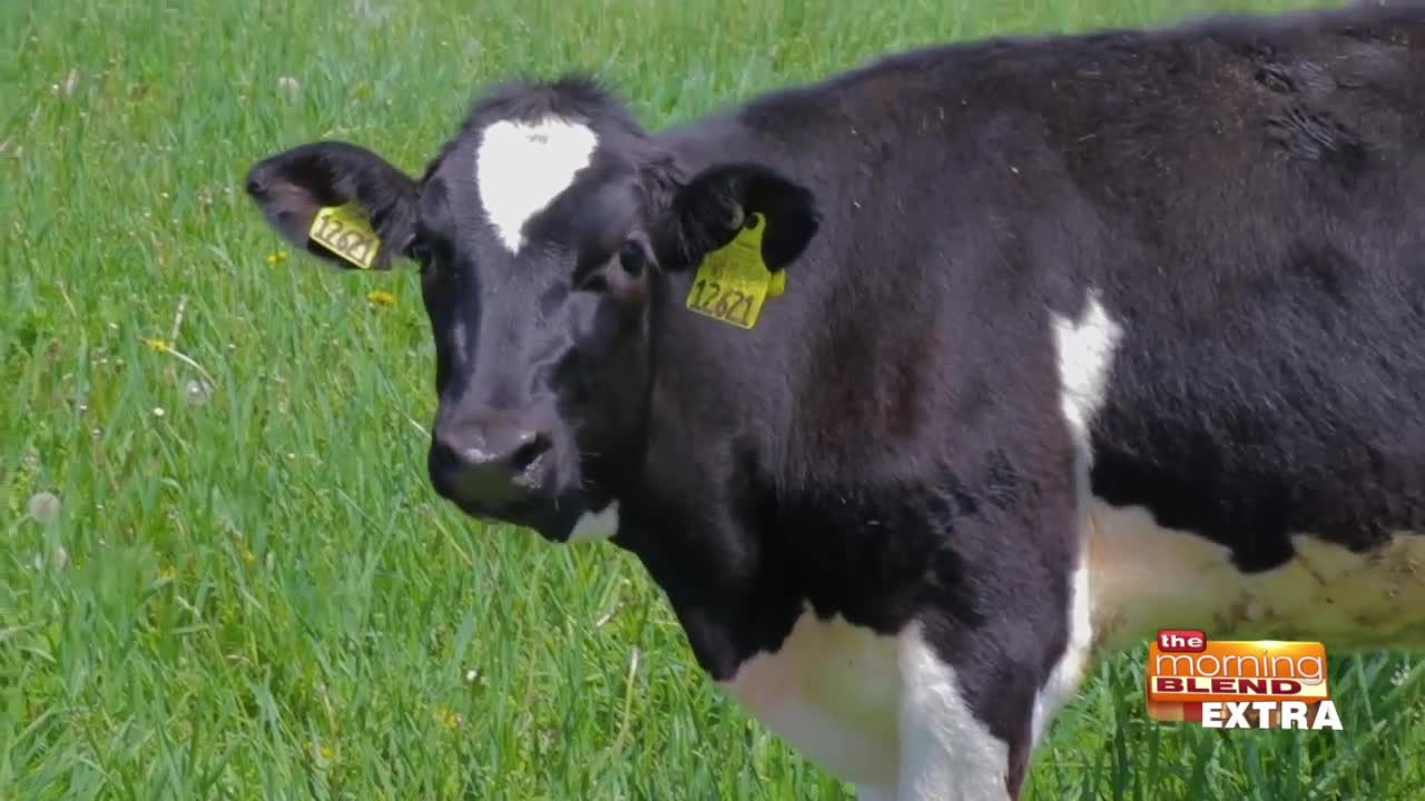 Blend Extra: A Visit to a Sustainable Wisconsin Dairy Farm