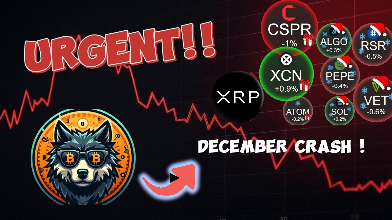 Urgent Crypto News ! :December Crash! Best Chance to Buy altcoins ?