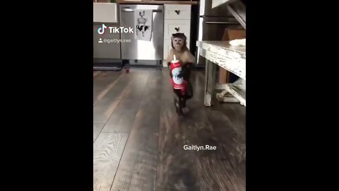 gaitlynrae #shorts
