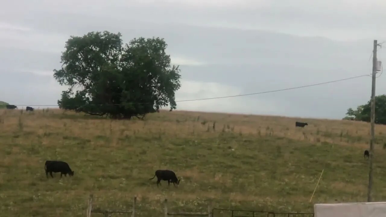 Another storm in Ky 7/18/23