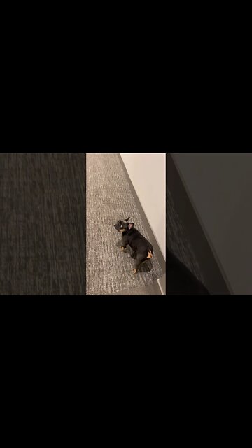 I know you see that right 🤣