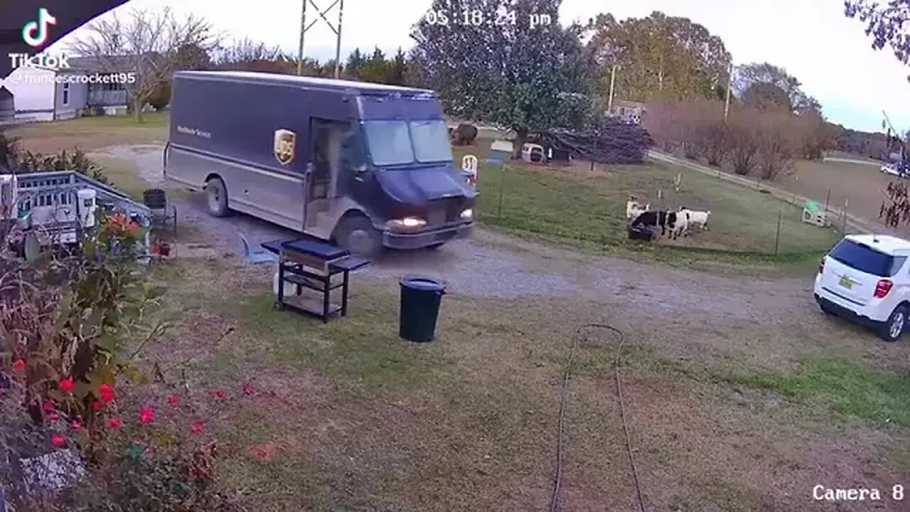 Goats Attempt Insurance Scam With Delivery Truck.