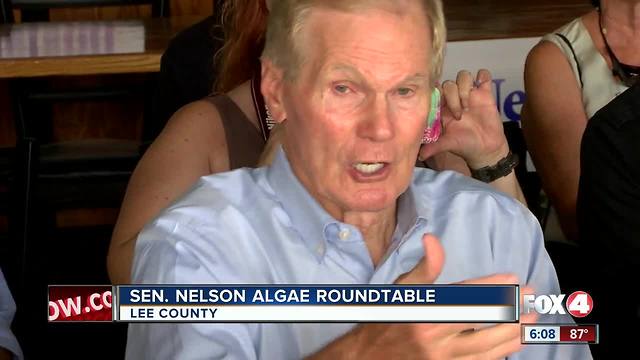 Nelson blasts Scott on Lake O