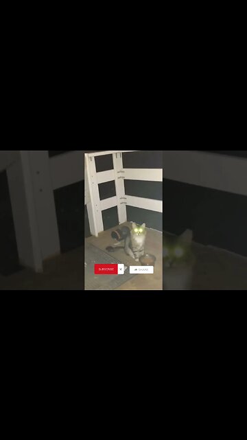 CREEPY PHOTOS😳😱‼️