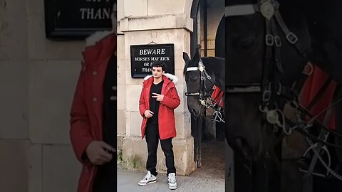 Tourist tells horse I bite too the has to run 😆 🤣 😂 😆 🤣 😂 #thekingsguard