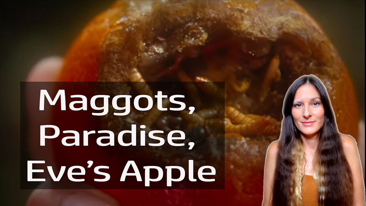 The truth about paradise and why you have maggots in Eve's Apple (Psychic Insight)