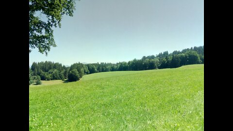 19.07.2022 Waldlauf - Teil 1 - Der heißeste Tag des Jahres