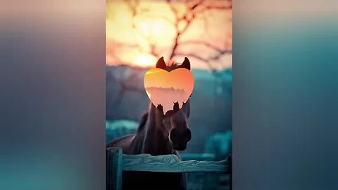 🕊 But by the GRACE of God 🕊