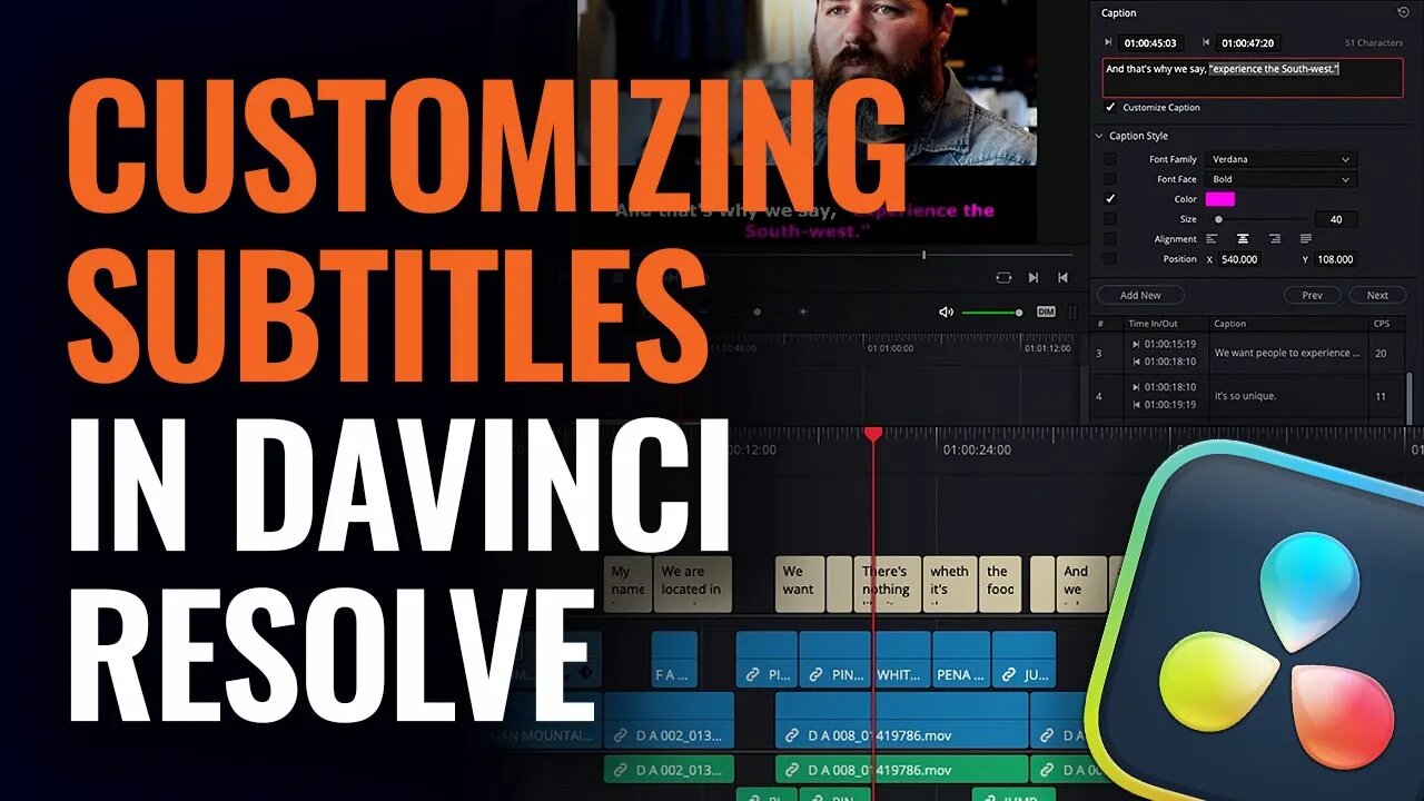 How to Customize Subtitles in DaVinci Resolve