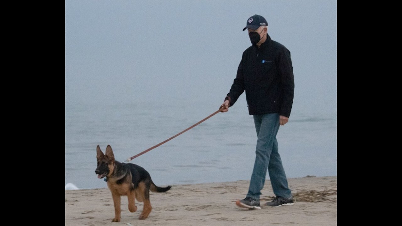 Biden Made 31 Trips to Delaware in 2021