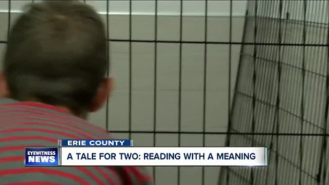 A Tale for Two: Reading to Pets at the SPCA