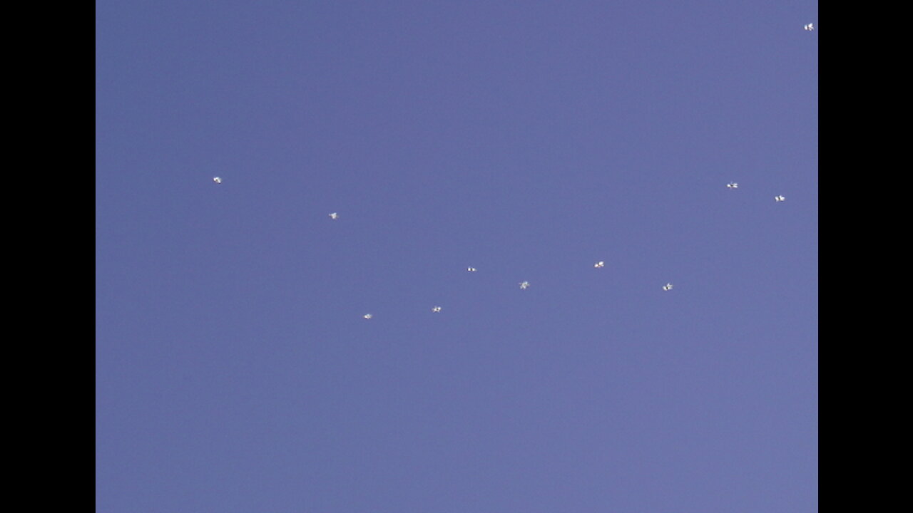 Angel Orb Celestial Activity 11/18 & 11/20/20