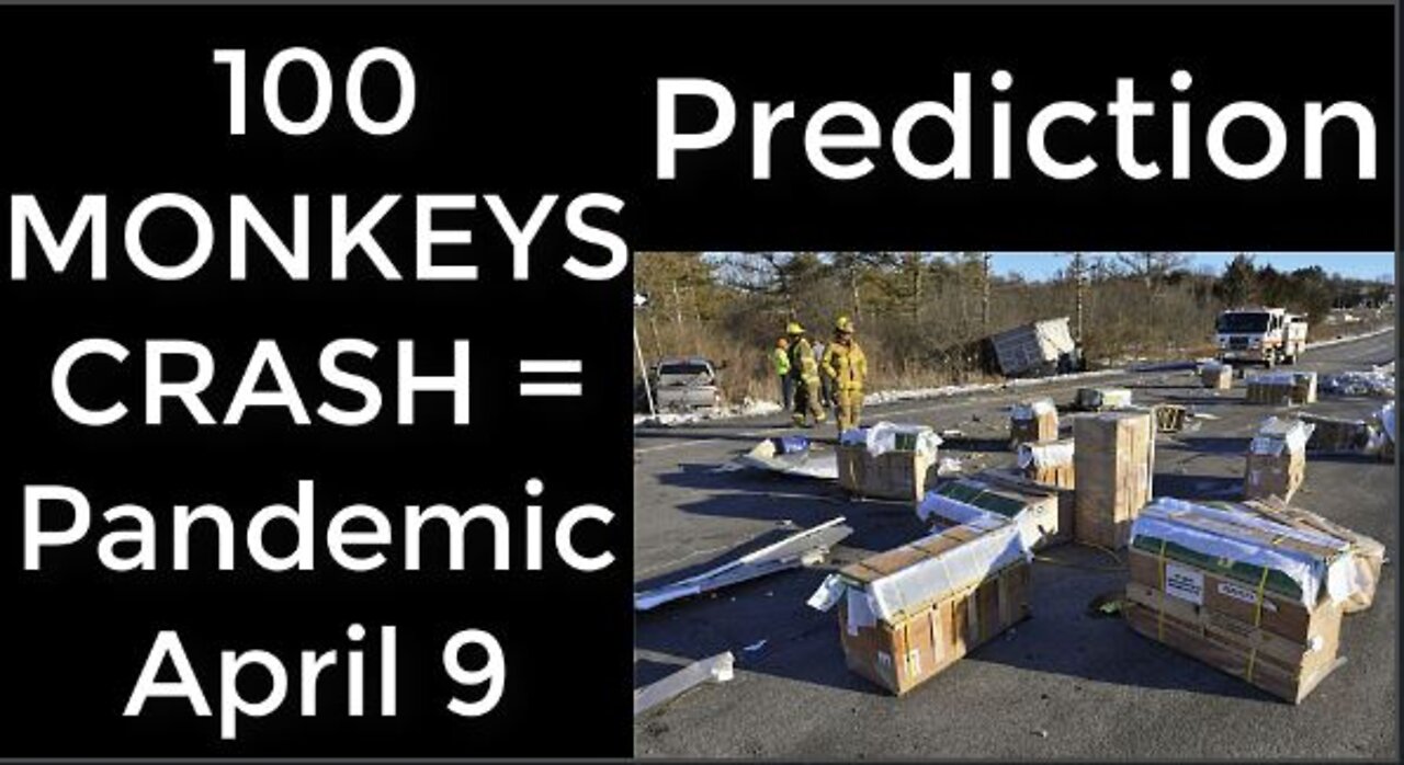 Prediction - 100 MONKEYS CRASH prophecy = Pandemic April 9