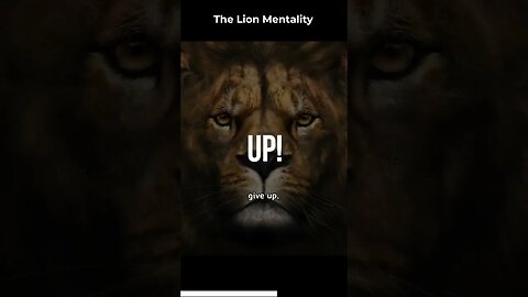 The Lion Mentality