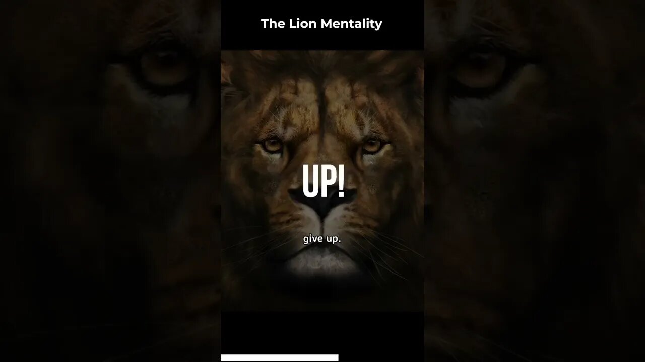 The Lion Mentality