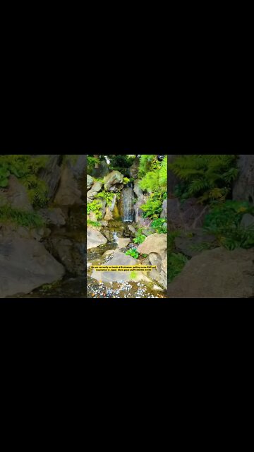 Brainwave Music on break & gaining inspiration in Japan #shorts