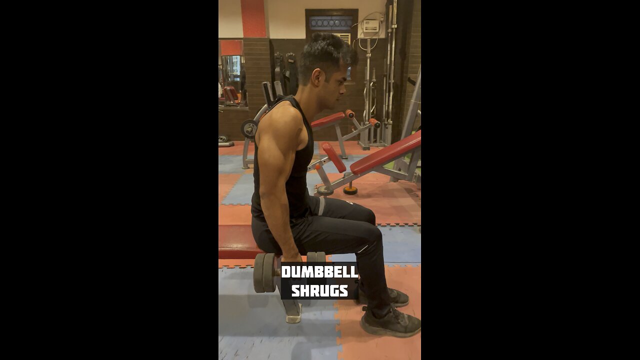Seated Dumbbell Shrugs Tutorial